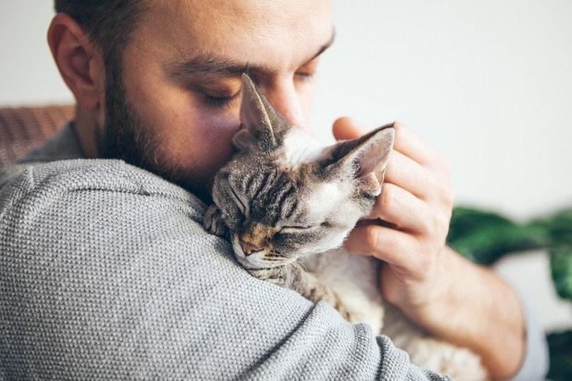 10 Psychological Benefits of Owning a Cat