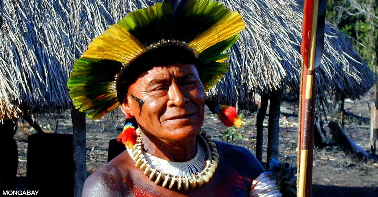 Life and Culture of Brazil’s Amazon Forest Dwellers