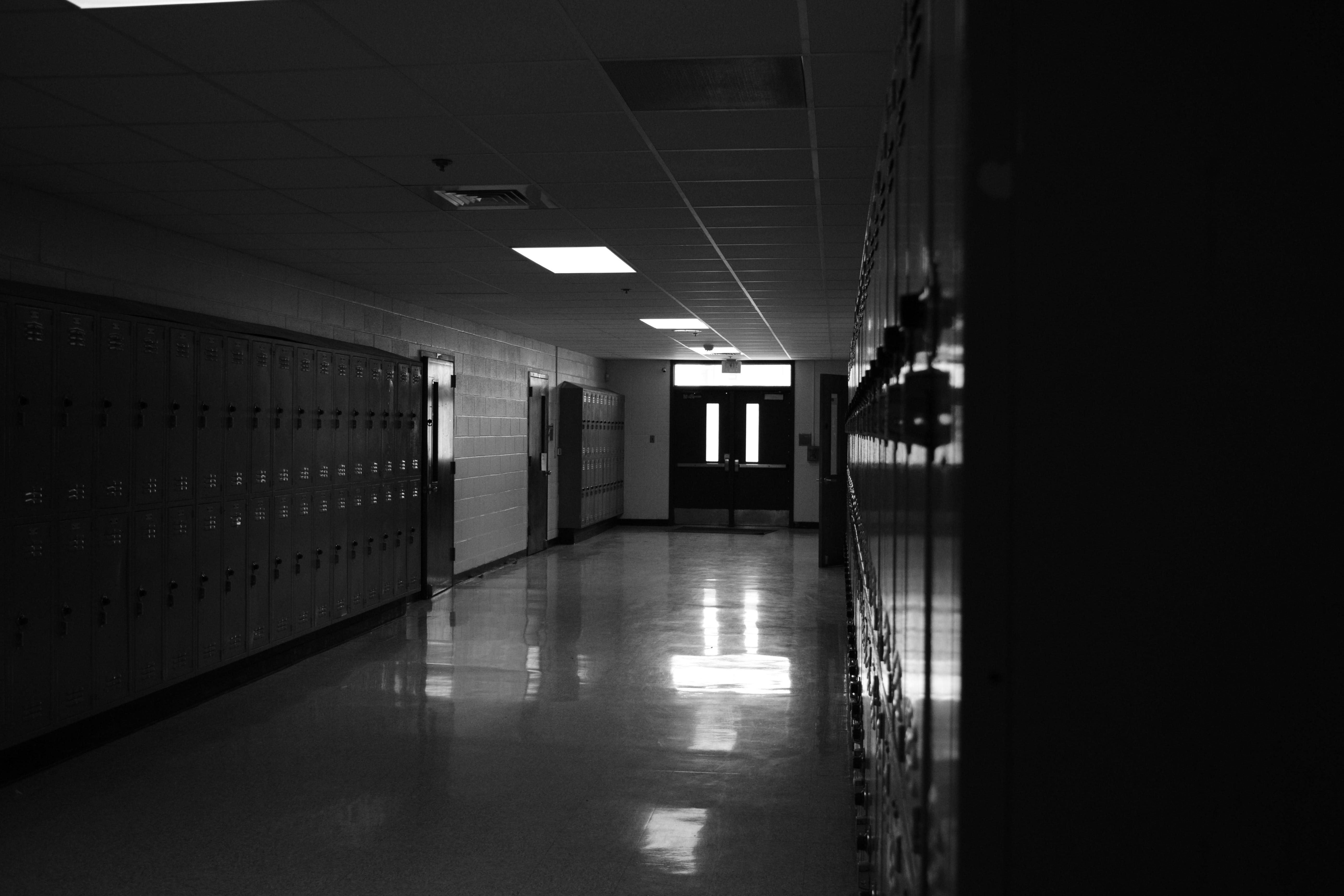Shattered Sanctuaries: Decoding the Epidemic of the Mass Shootings in America