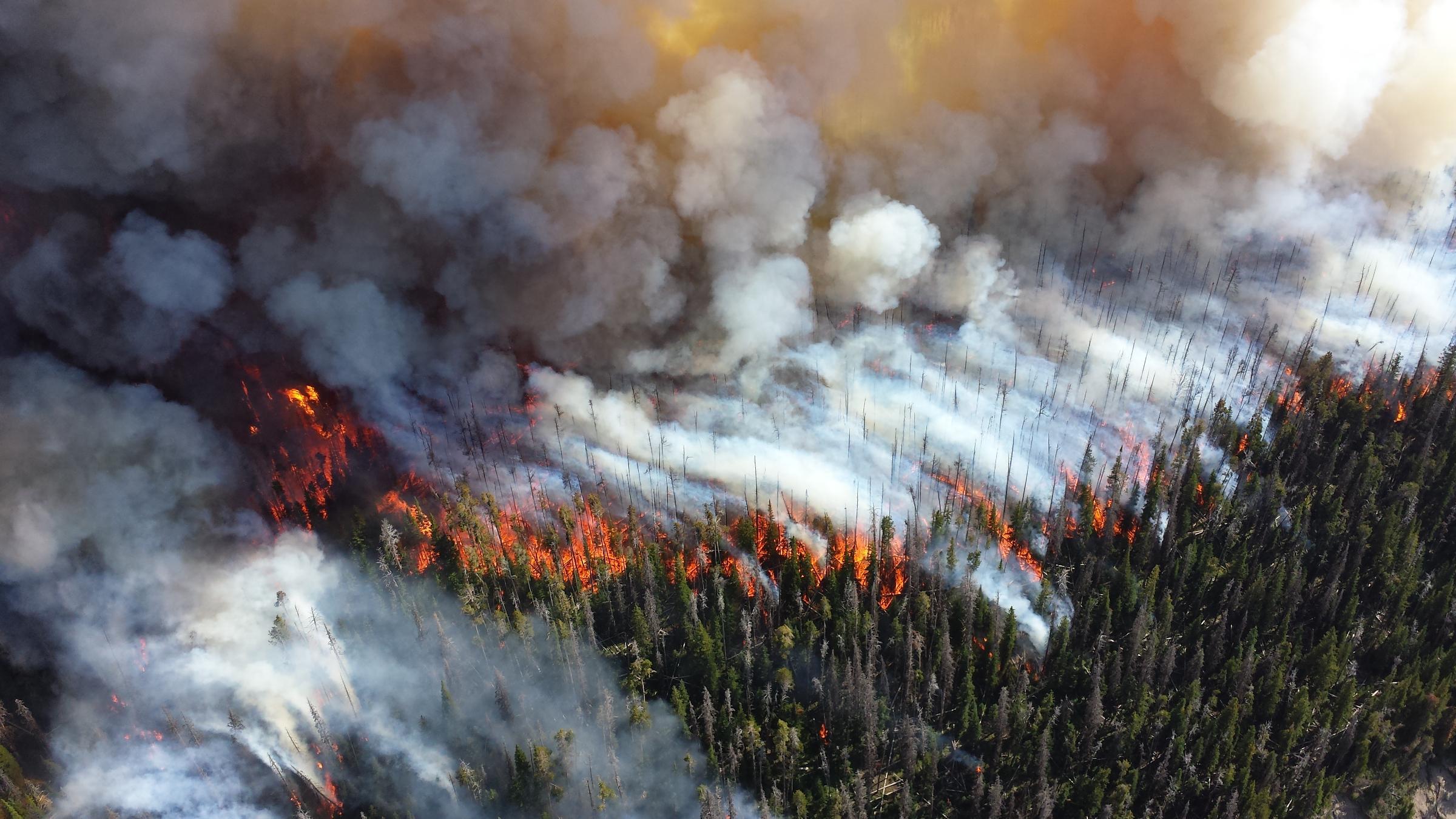 The Clock is Ticking: 7 Essential Ways to Halt Climate Catastrophe